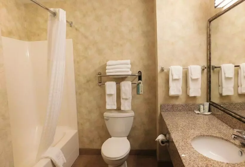 سوئیت برای معلولان, Comfort Inn & Suites