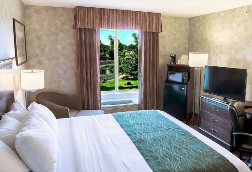 장애인을 위한 스위트, Comfort Inn & Suites