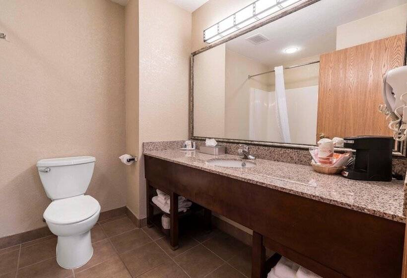 جناح لذوى الاحتياجات الخاصة, Comfort Inn & Suites