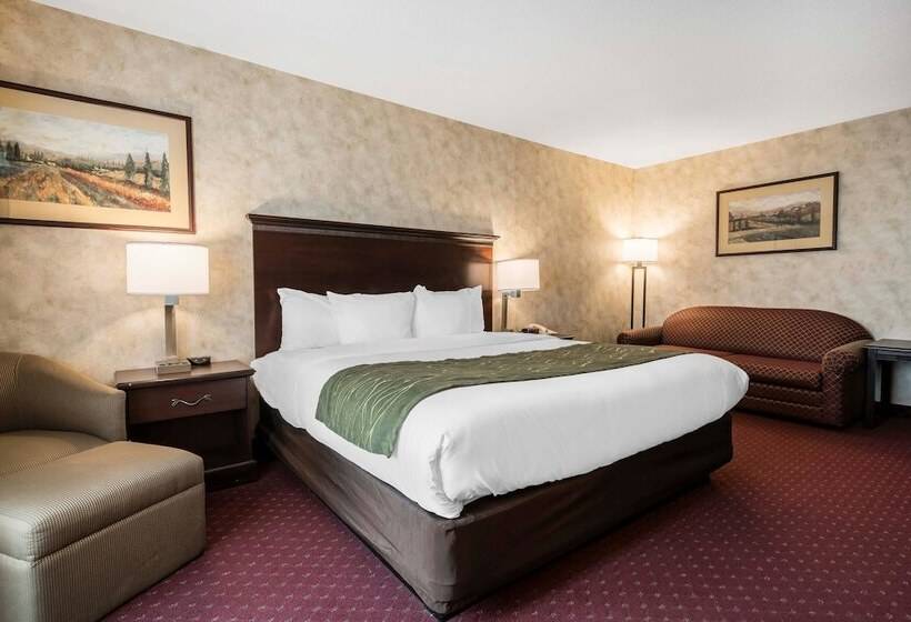 جناح لذوى الاحتياجات الخاصة, Comfort Inn & Suites