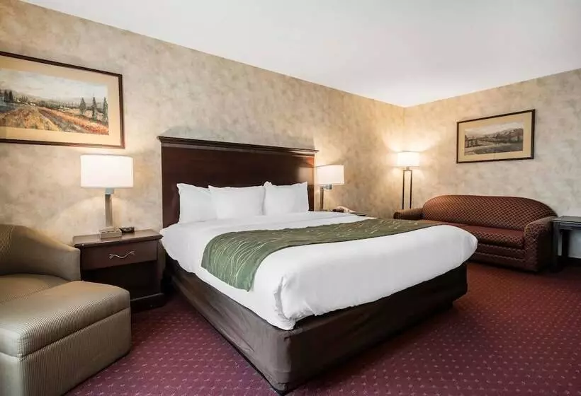 سوئیت برای معلولان, Comfort Inn & Suites