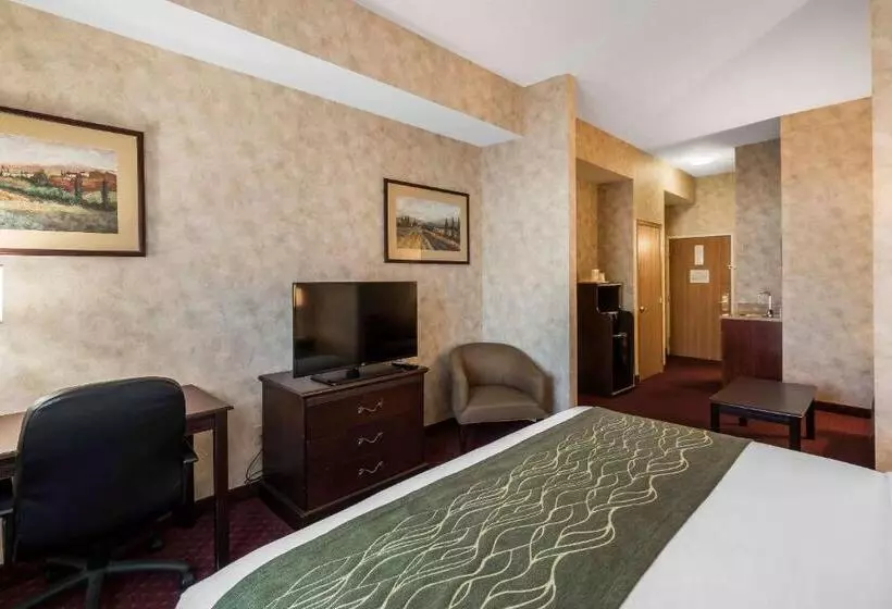 اتاق استاندارد با تخت بزرگ, Comfort Inn & Suites