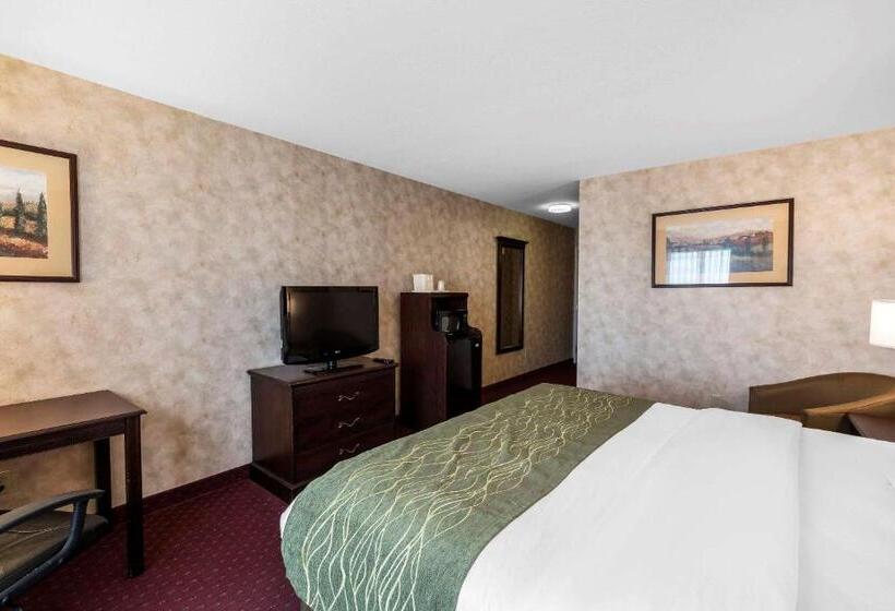 غرفة قياسية سرير كينج, Comfort Inn & Suites