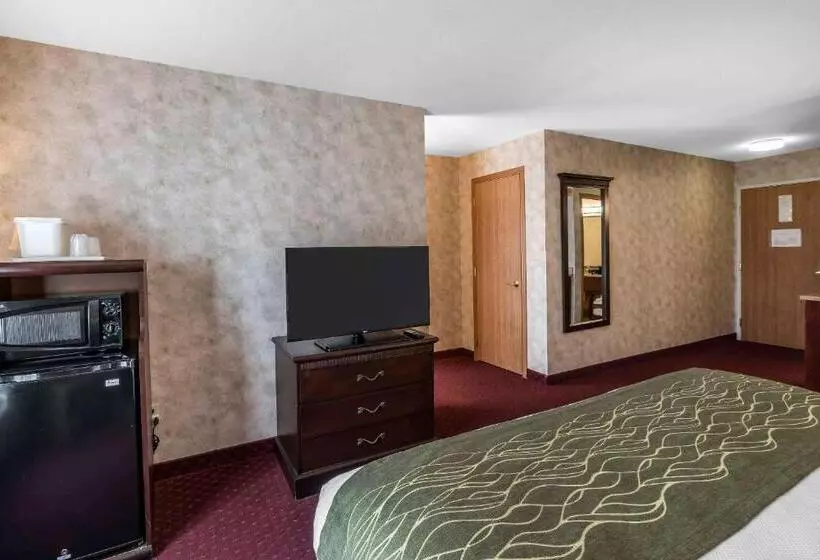 سوئیت با تخت بزرگ, Comfort Inn & Suites