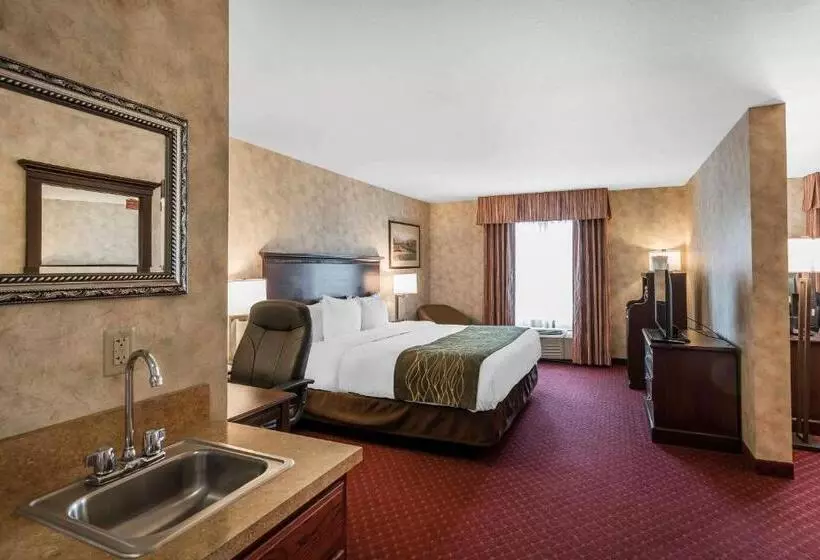 سوئیت با تخت بزرگ, Comfort Inn & Suites