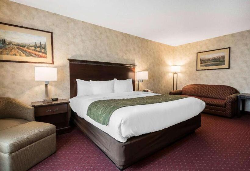 جناح لذوى الاحتياجات الخاصة, Comfort Inn & Suites