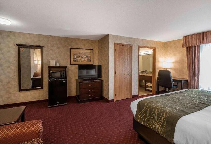 جناح لذوى الاحتياجات الخاصة, Comfort Inn & Suites