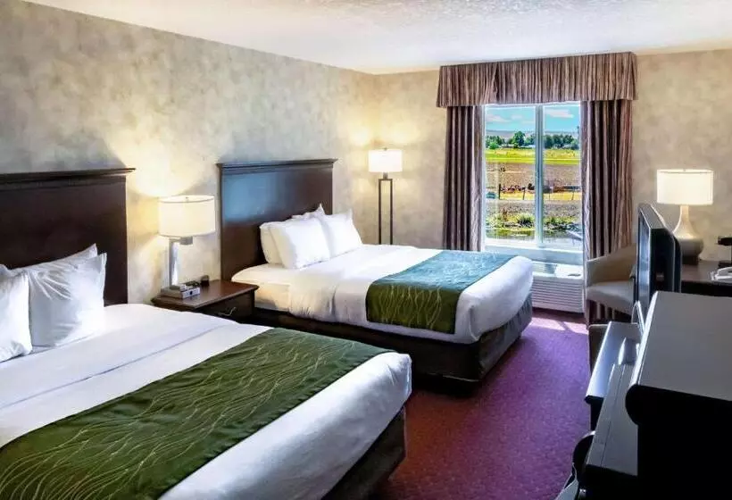 اتاق استاندارد برای معلولان, Comfort Inn & Suites