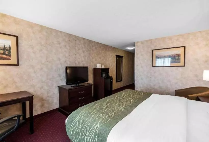 اتاق استاندارد برای معلولان, Comfort Inn & Suites