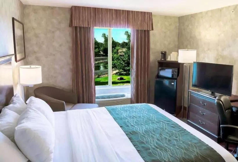 اتاق استاندارد با تخت بزرگ برای معلولان, Comfort Inn & Suites