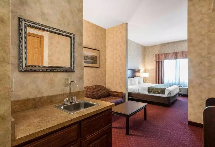 اتاق استاندارد با تخت بزرگ برای معلولان, Comfort Inn & Suites