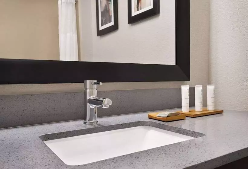 ハイドロマッサージバス付きスイート, Comfort Suites Shenandoahthe Woodlands