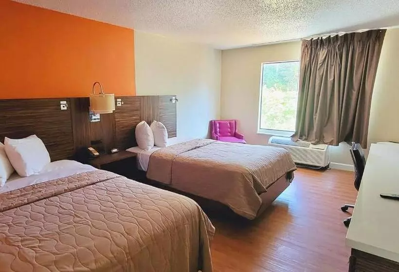 デラックスの４人部屋, Studios & Suites 4 Less Charlotte