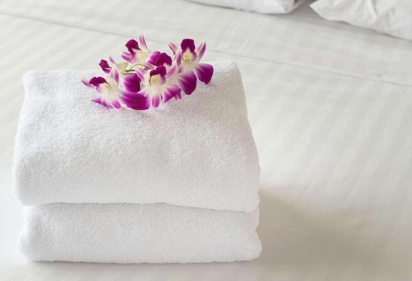 اتاق لوکس با تخت بزرگ, Studios & Suites 4 Less Charlotte