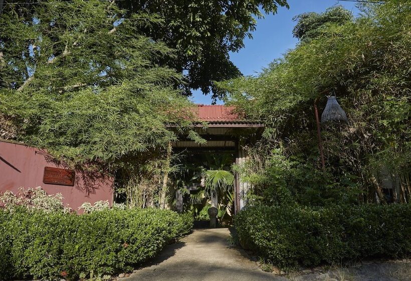 디럭스 룸, Natural Wing Health Spa & Resort