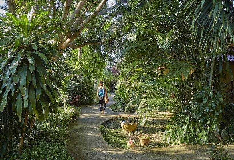 디럭스 룸, Natural Wing Health Spa & Resort