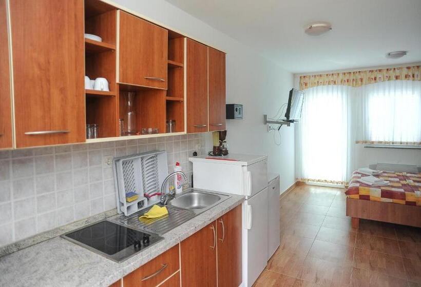 발코니가 있는 바다전망 스탠다드 스튜디오, Apartmani Vila Caska