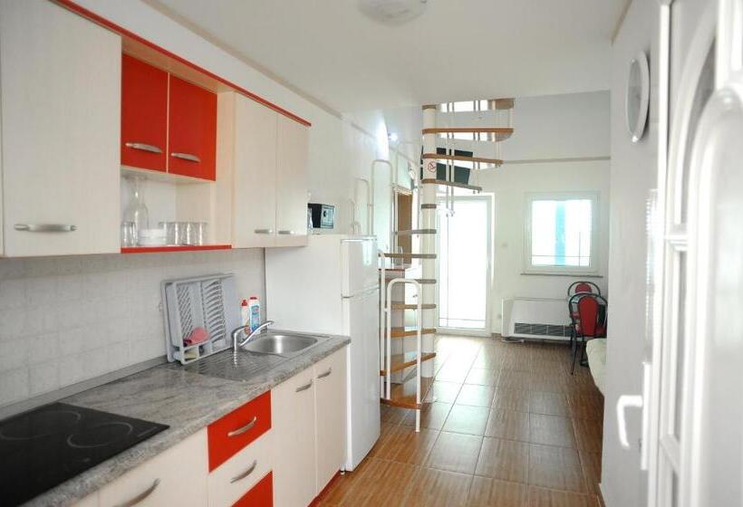 דירת דופלקס בת חדר שינה 1, Apartmani Vila Caska