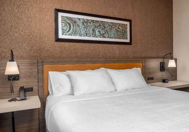 キングサイズベッドのスタンダードルーム, Hilton Garden Inn Chicago Central Loop