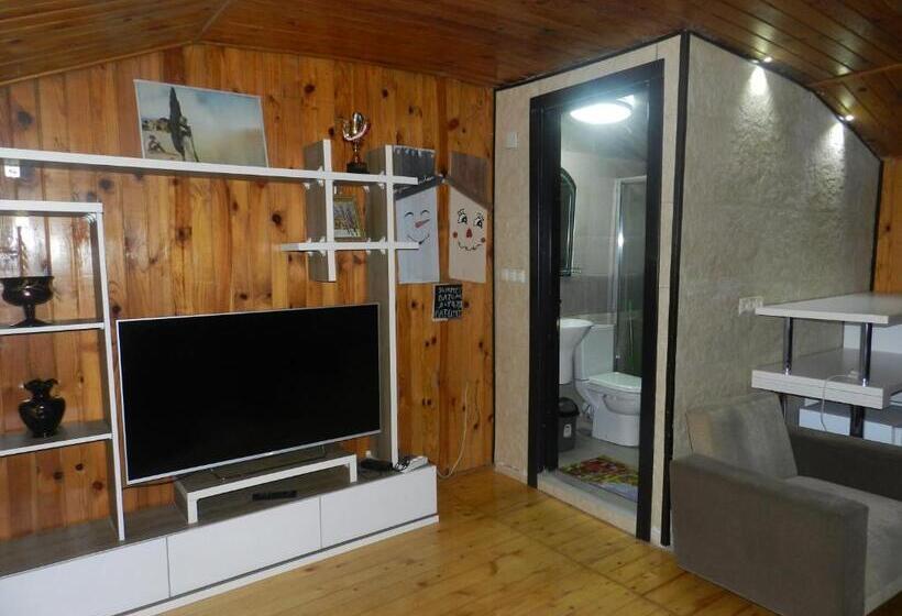 اتاق کلاسیک چهارنفره, House In Old Batumi