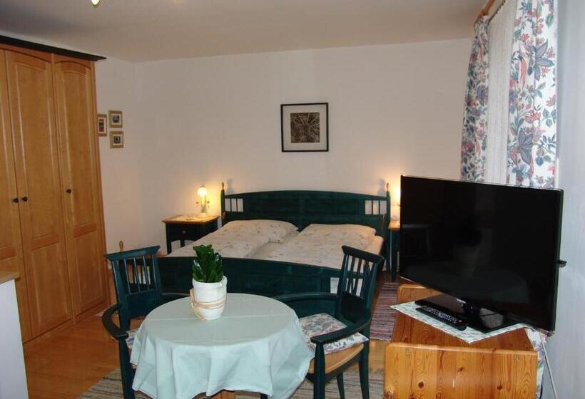 آپارتمان 1 خوابه با بالکن, Pension Haus Christl
