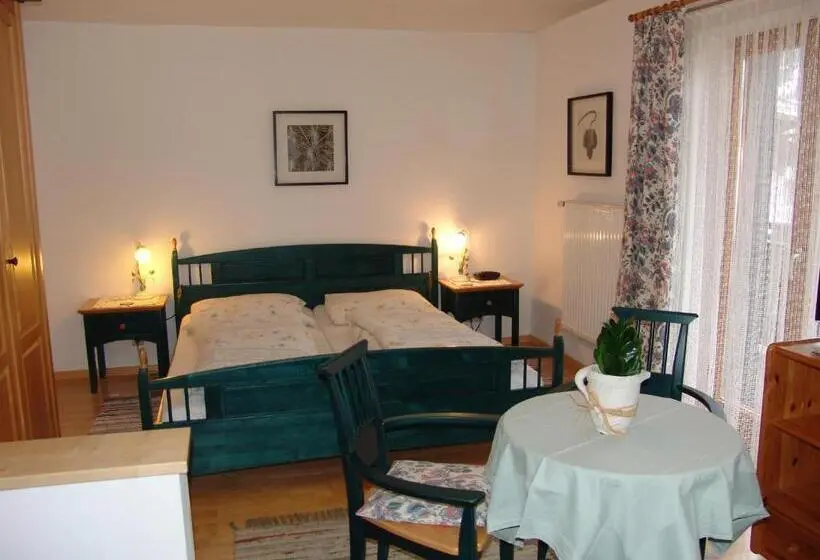 آپارتمان 1 خوابه با بالکن, Pension Haus Christl