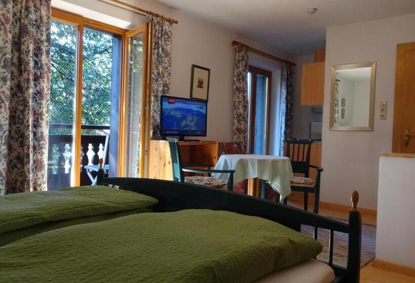 آپارتمان 1 خوابه با بالکن, Pension Haus Christl