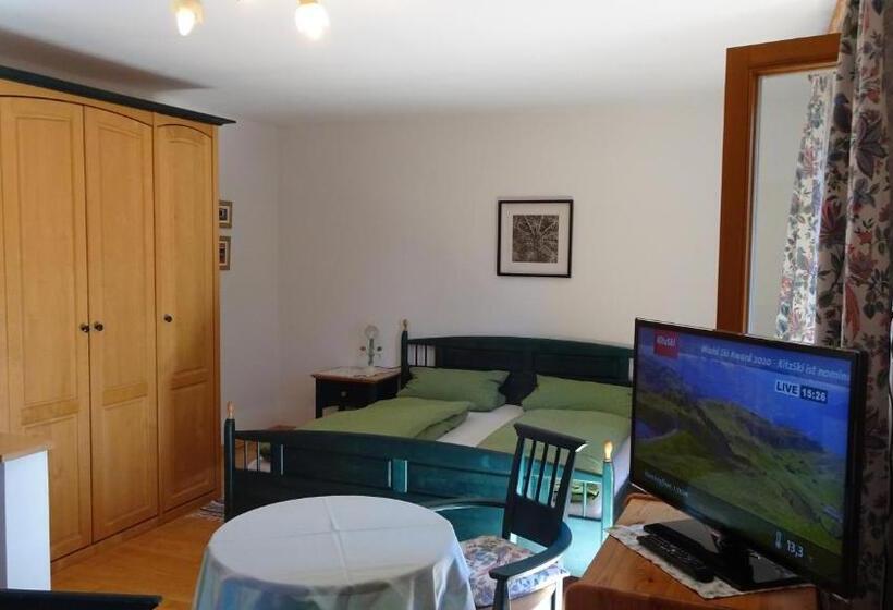 آپارتمان 1 خوابه با بالکن, Pension Haus Christl