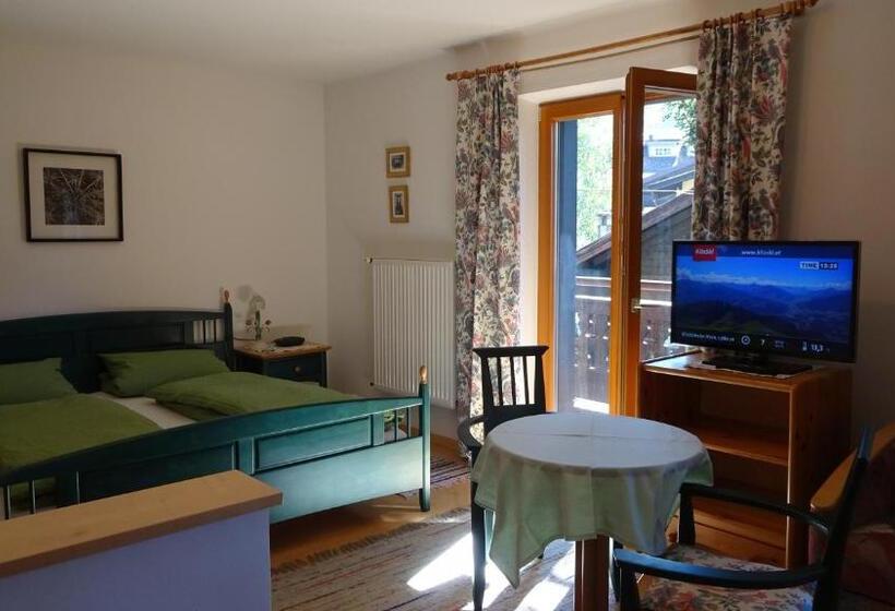 آپارتمان 1 خوابه با بالکن, Pension Haus Christl