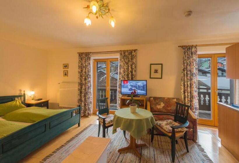 آپارتمان 1 خوابه با بالکن, Pension Haus Christl