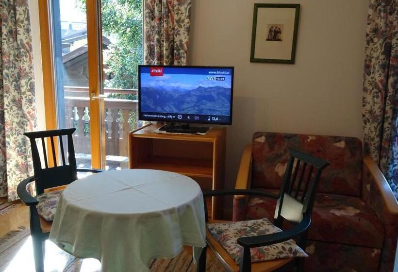 آپارتمان 1 خوابه با بالکن, Pension Haus Christl