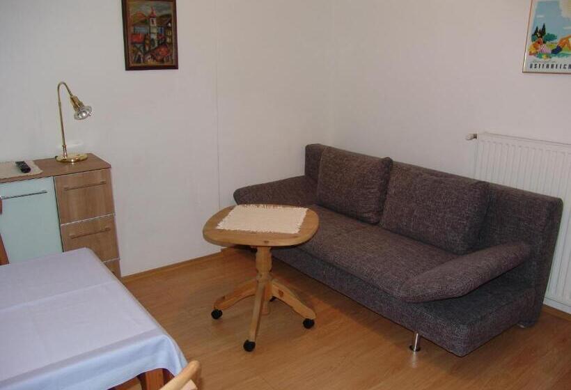 آپارتمان 1 خوابه با بالکن, Pension Haus Christl