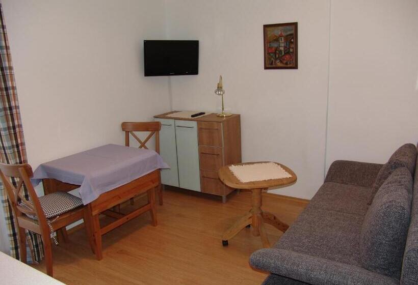 آپارتمان 1 خوابه با بالکن, Pension Haus Christl