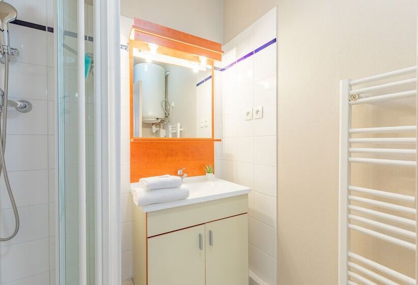 Студия Стандарт, Appart City Classic Lyon Villeurbanne