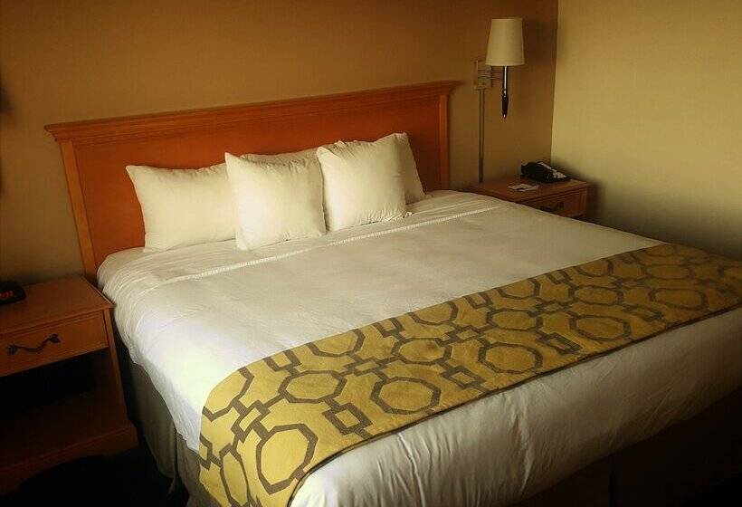 סטודיו דלוקס, Baymont By Wyndham Indianapolis Northeast