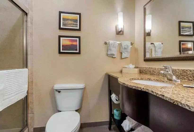 سوییت, Comfort Suites Central
