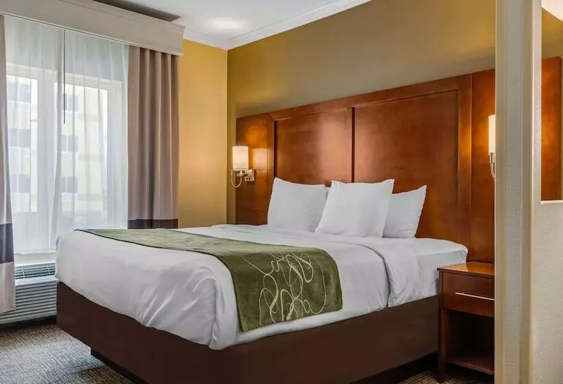 سوییت, Comfort Suites Central