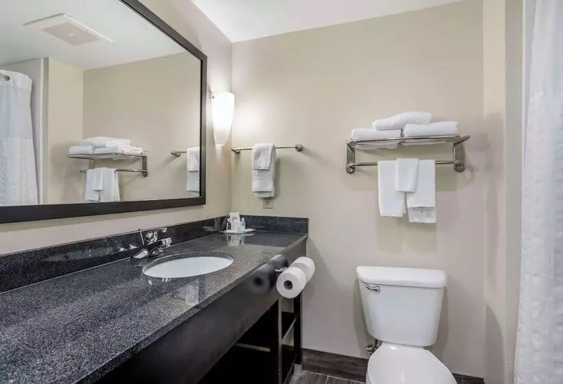 スイート, Comfort Suites East