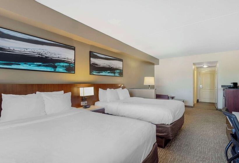 סוויטה, Comfort Suites East