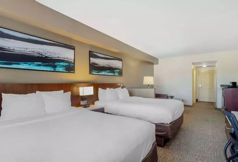スイート, Comfort Suites East