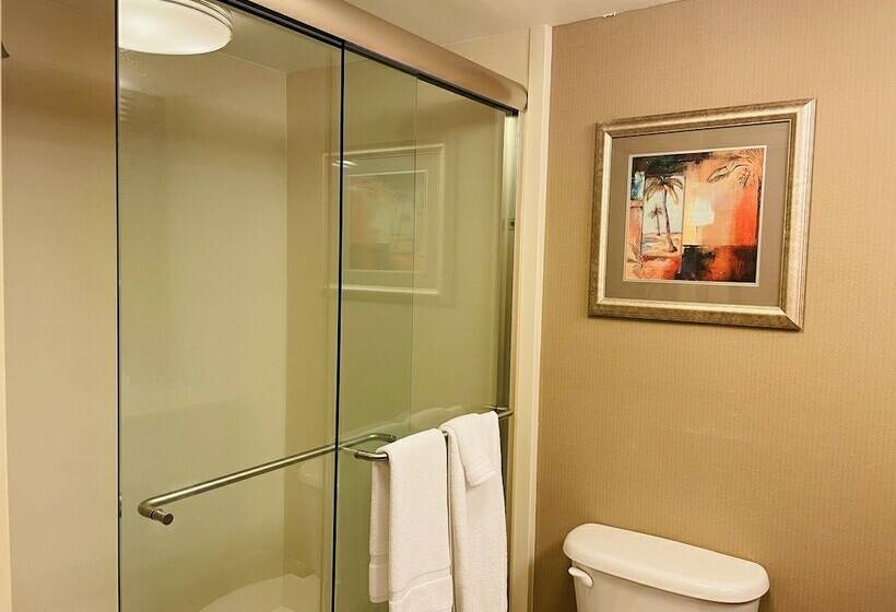 Номер Стандарт, Crowne Plaza Ft Myers Gulf Coast, An Ihg