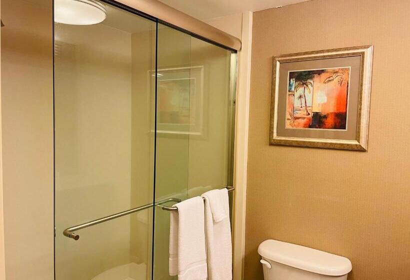 带大床的标准间, Crowne Plaza Ft Myers Gulf Coast, An Ihg