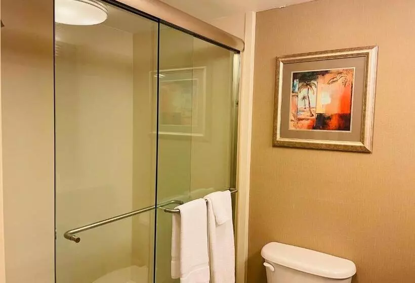 اتاق استاندارد با 2 تخت دوبل, Crowne Plaza Ft Myers Gulf Coast, An Ihg