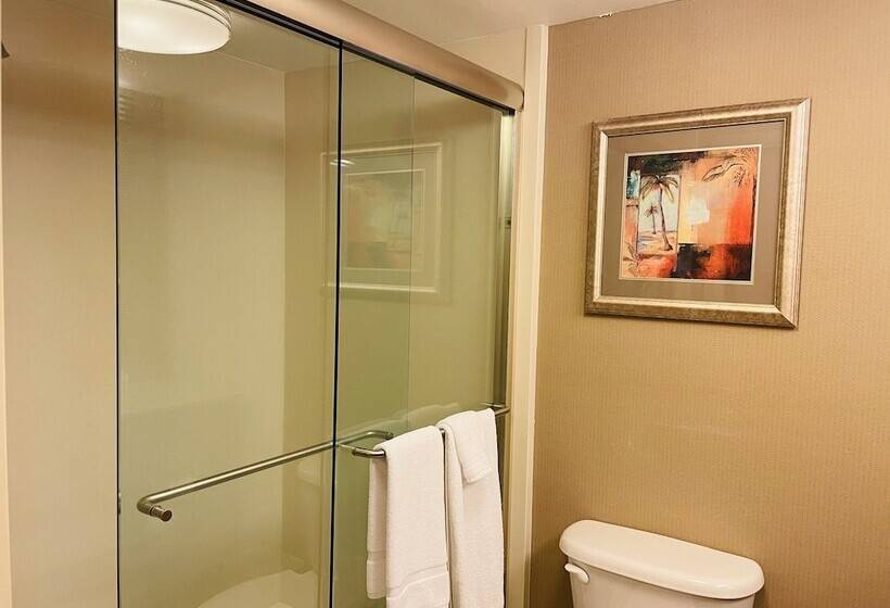 ２ダブルベッドのスタンダードルーム, Crowne Plaza Ft Myers Gulf Coast, An Ihg