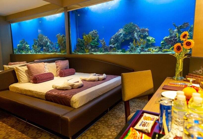 اتاق استاندارد, H2o