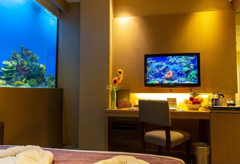 اتاق استاندارد, H2o