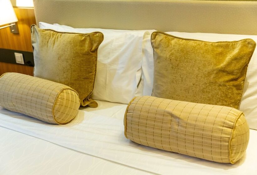 اتاق استاندارد با تخت بزرگ, H2o