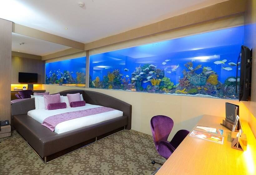 اتاق استاندارد, H2o