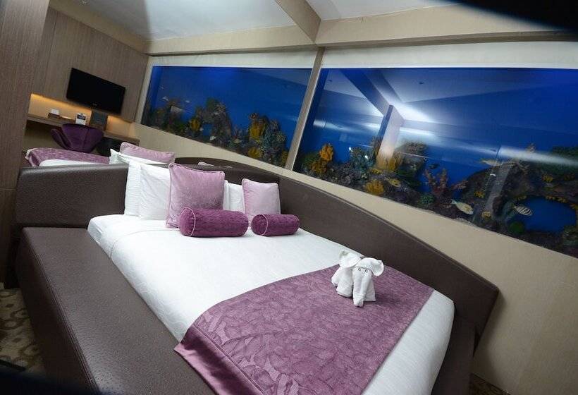 اتاق استاندارد, H2o