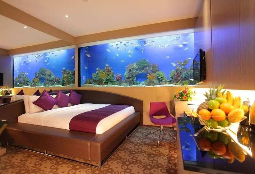 اتاق استاندارد, H2o